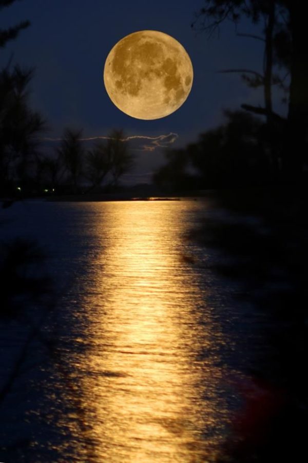 June Full Moon in Sagittarius Strawberry Moon Crystal B. Astrology