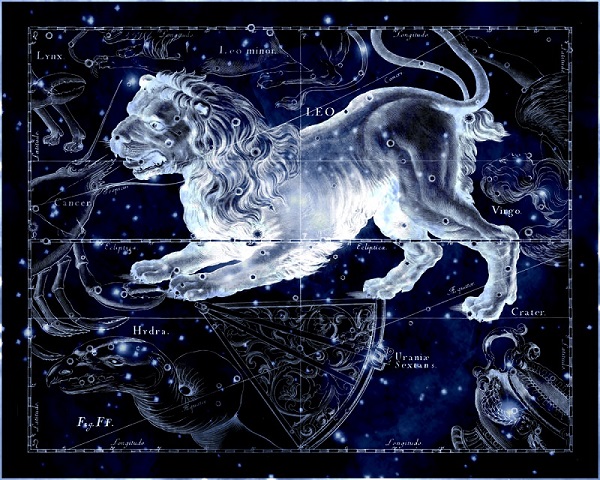 Leo: Daring to Shine and Follow Dreams - Crystal B. Astrology