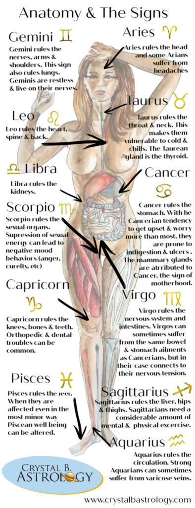 Medical Astrology: Connections Between Anatomy and the Planets