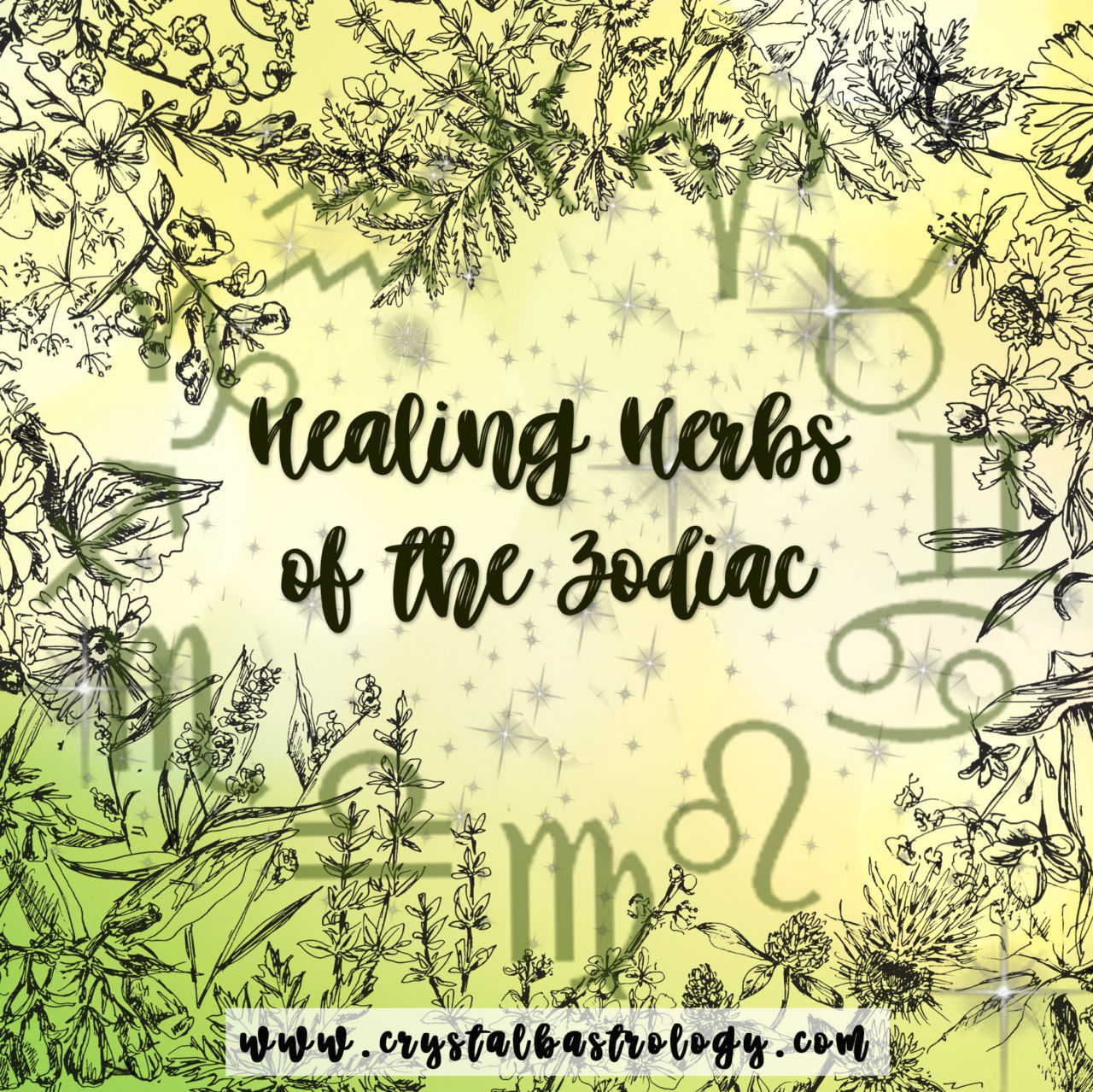 Healing Herbs of the Zodiac - Crystal B. Astrology