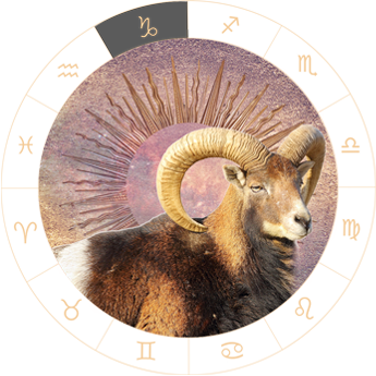 Capricorn - Crystal B. Astrology