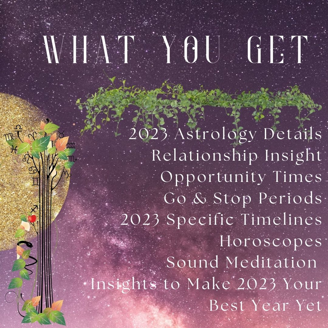 Magical Night 2023 What You Get - Crystal B. Astrology