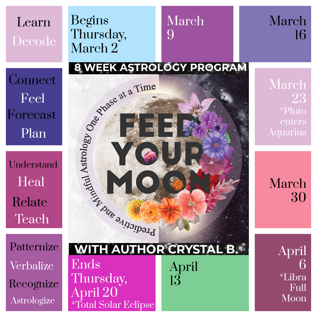 Interactive Live 8 Week Feed Your Moon Astrology Course and Certification